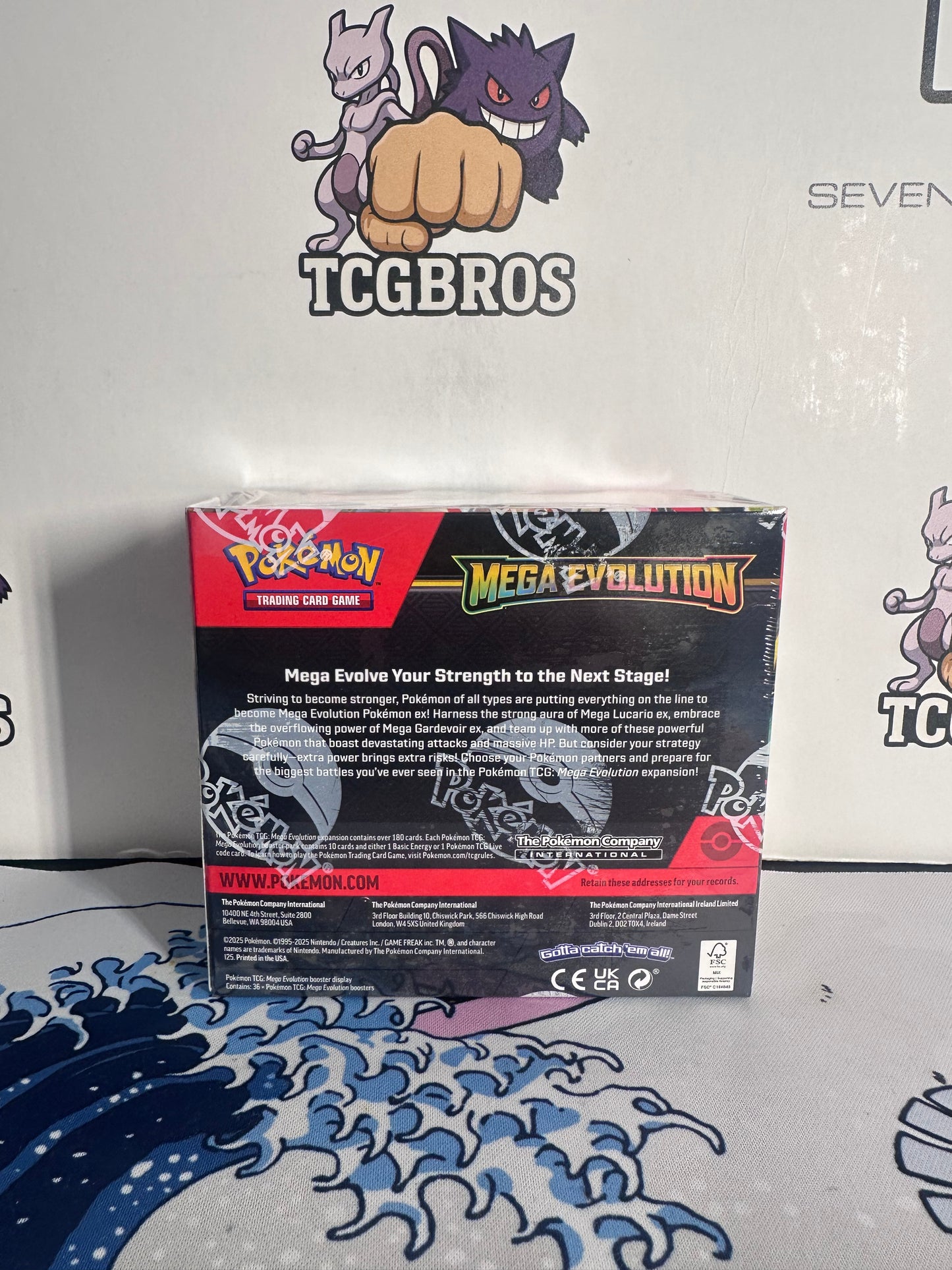Meg Evolutions Booster Box